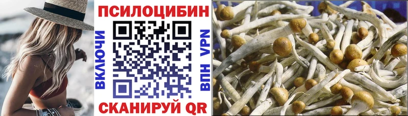 цены наркотик  МЕГА ссылка  Псилоцибиновые грибы Magic Shrooms  Лебедянь 